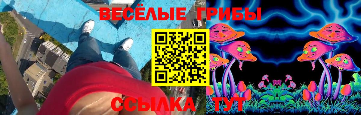 Воткинск  Псилоцибиновые грибы мицелий  Вход с VPN  Псилоцибиновые грибы GOLDEN TEACHER 