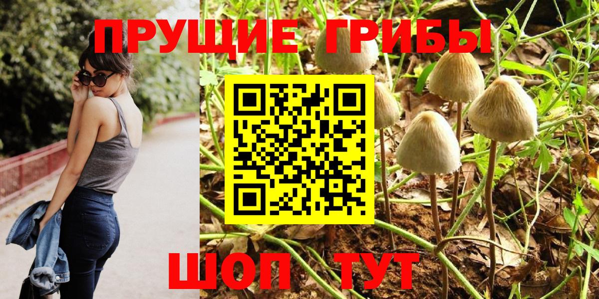 Псилоцибиновые грибы Psilocybe Воткинск